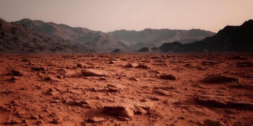 The Martian surface: a rock-strewn red plain running out to low hills under a pale sky